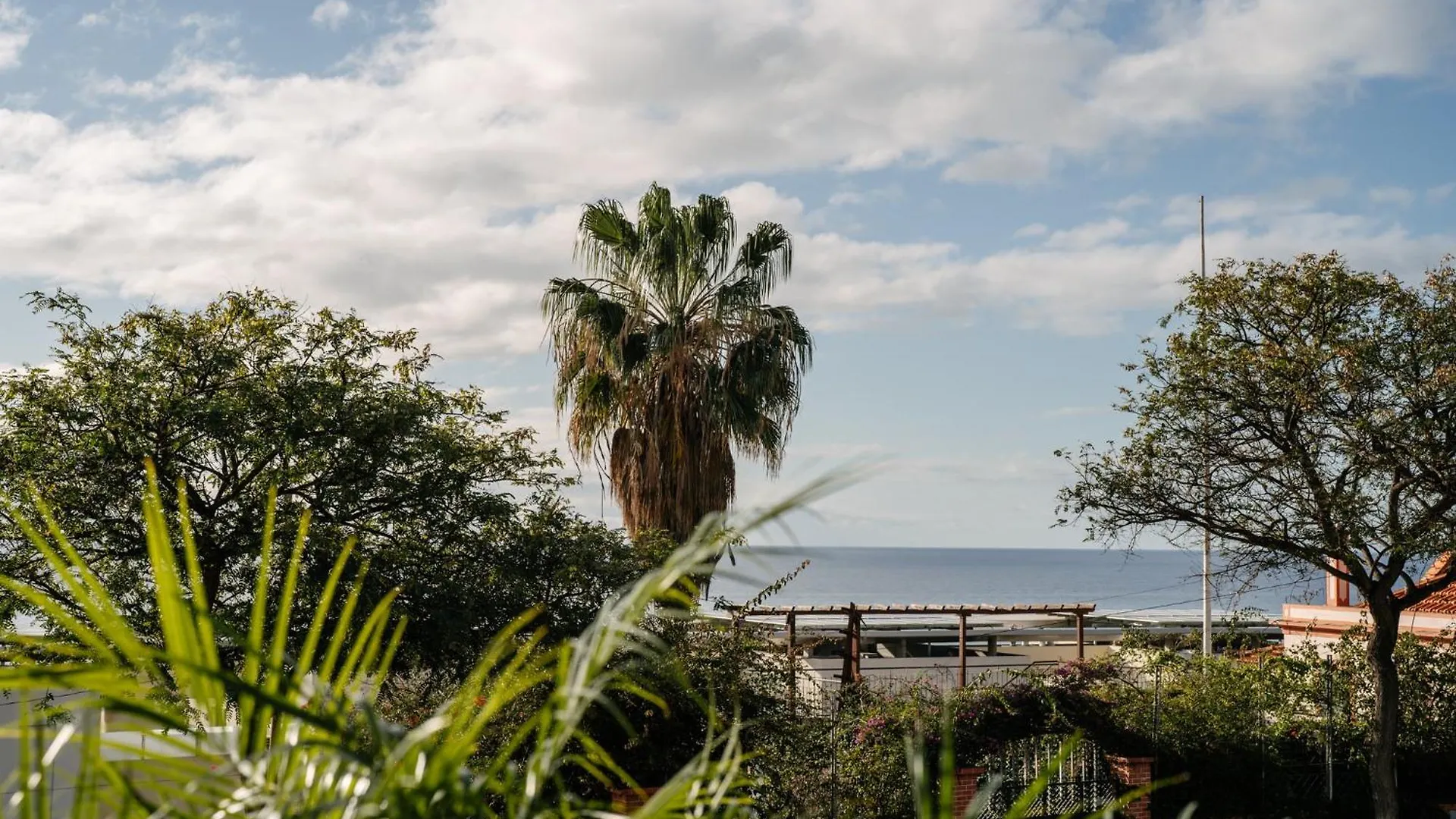 Savoy Monumentalis Your Home In Madeira Island フンシャル